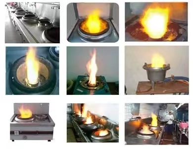 新型植物油燃料